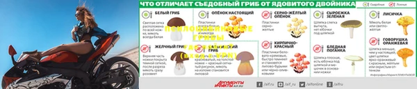 прущая мука Михайловка