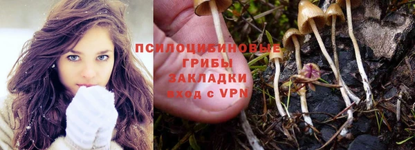 экстази Михайлов