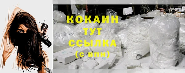 стаф Бердск
