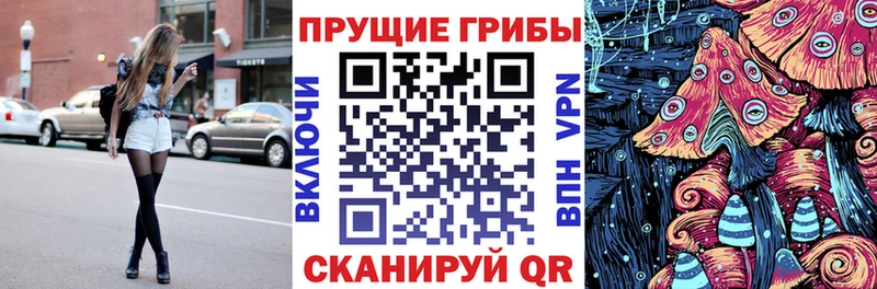 Галлюциногенные грибы Cubensis  где купить наркоту  Сусуман 